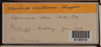Image Associated With the Occurence